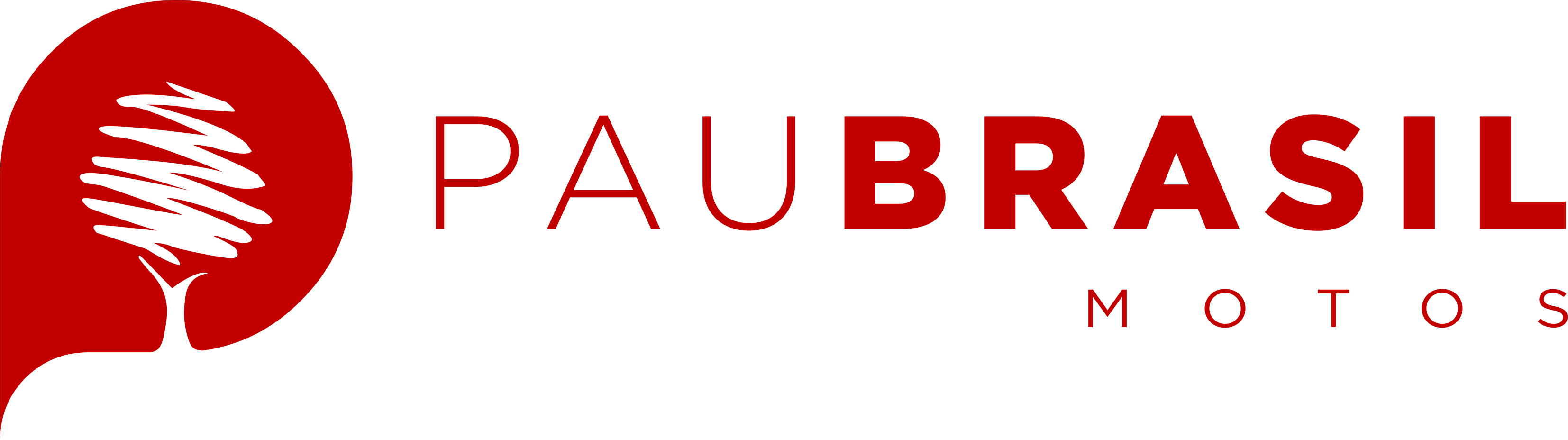 Pau Brasil Motos